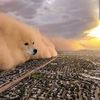 ShibaCorgiNation