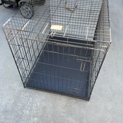 Dog Crates 