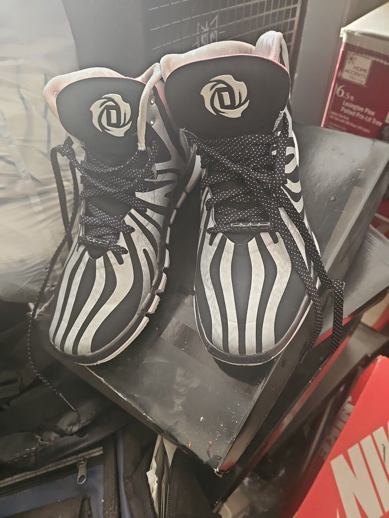 D.Rose 4.5