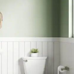 ($99 NEW BIG Savings WOW) American Standard
Cadet Pro 14 in. Compact Tall Height Elongated