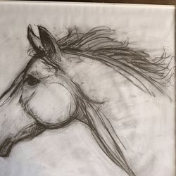 Charcoal Horse Drawing