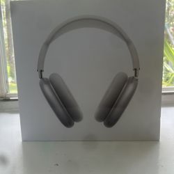 Apple AirPods Max Wireless Over-Ear Headset - Silver