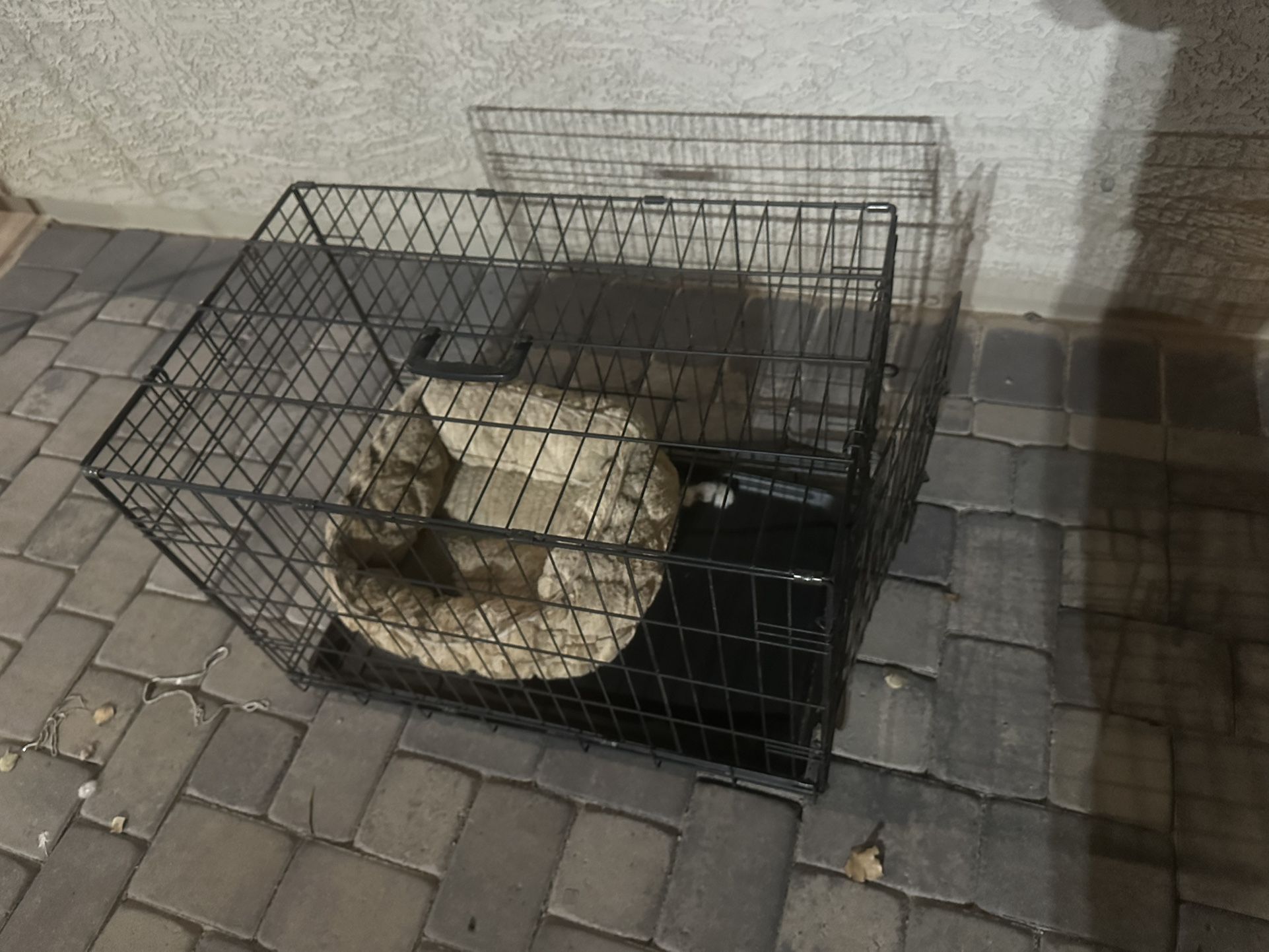 Dogs Cage