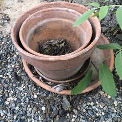 Terracotta Pots Size Small 