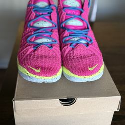 Nike LeBron James Shoes 