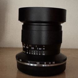 TT artisan fisheye - GF Mount