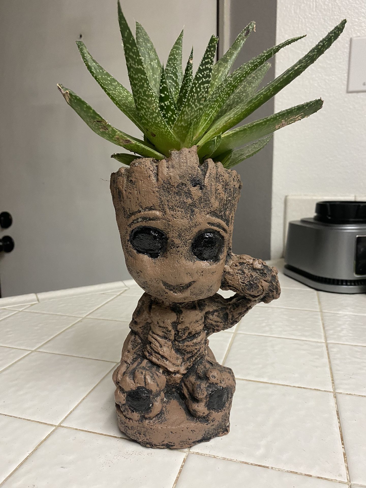 Plant