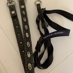 Dog Collar