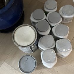 Free Paint!