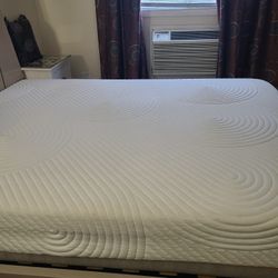 Temper-pedic Queen Mattress 