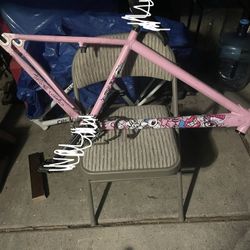 Pink Chad Frame 29er