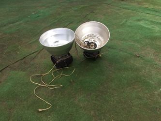 Buds lights plus free bulbs