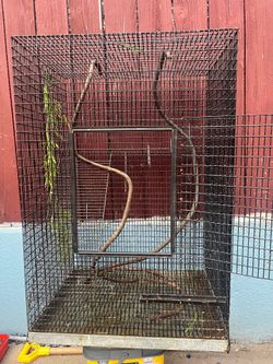 Big bird cage