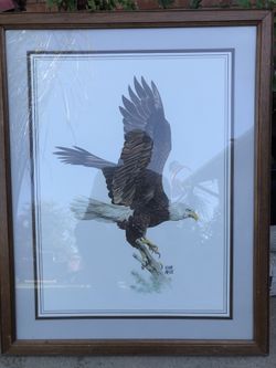 BEAUTIFUL AMERICAN EAGLE