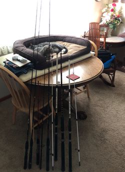 7 Fishing Poles with 2 reels