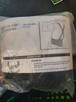 Back support belt