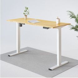 FlexiSpot standing desk