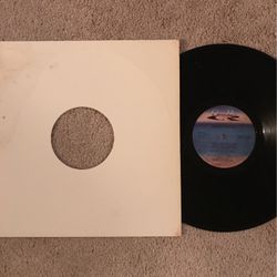 Vinyl Record 12inch