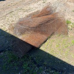 Free Chicken Wire