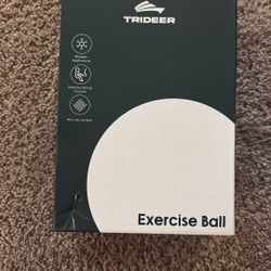 Trident Exercise Ball (L) 23”-26”
