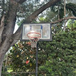 Basketball Hoop