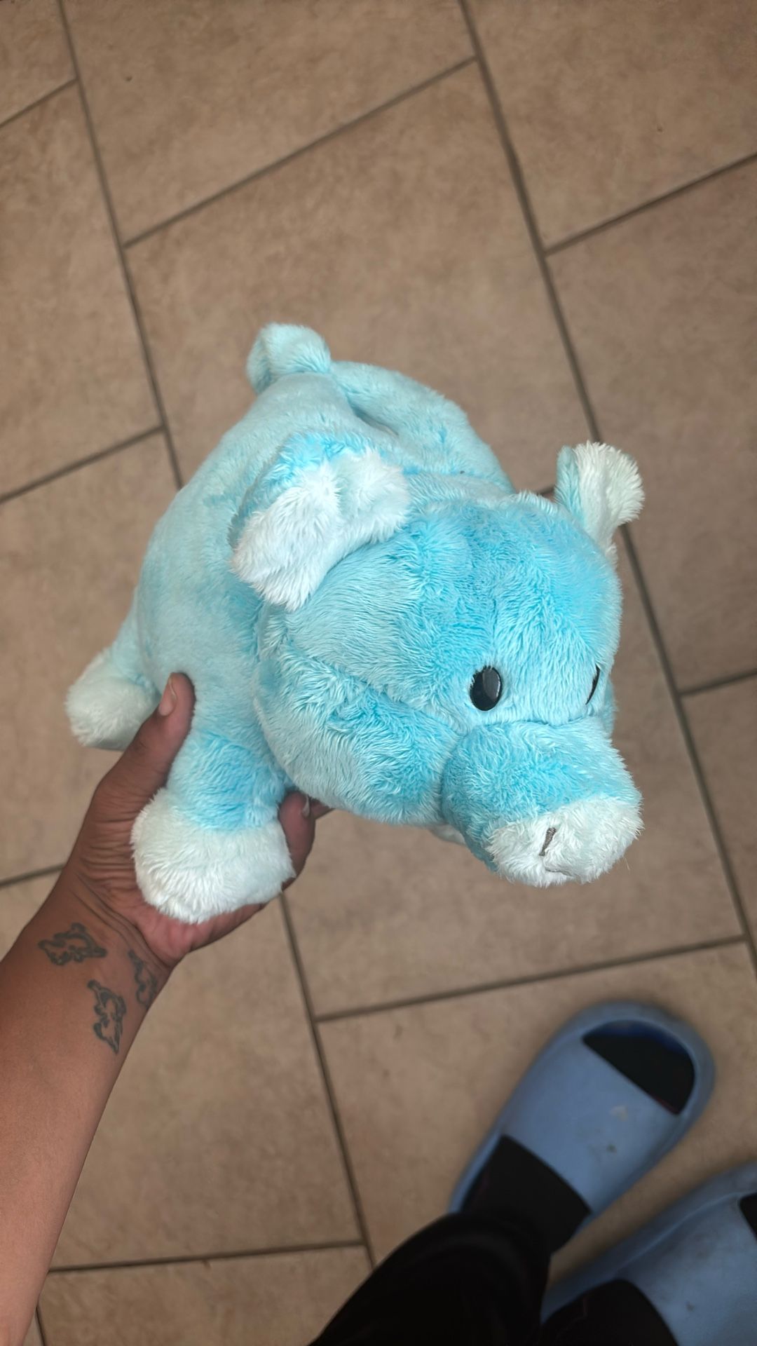 Brand New Piggy Bank $ 1