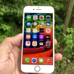 iPhone 8 Unlocked 