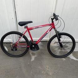 Magna Youth Bike $150