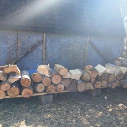 Firewood Logs 