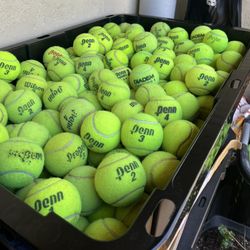 50 tennis balls in great condition 