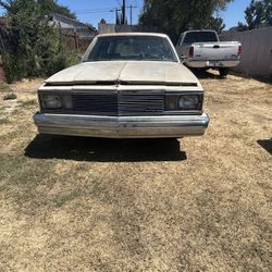 1981 Chevrolet Malibu
