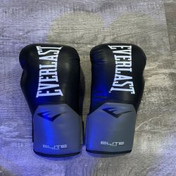 Everlast Boxing Gloves