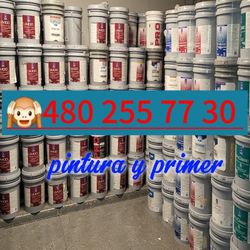 Paint For Sale 