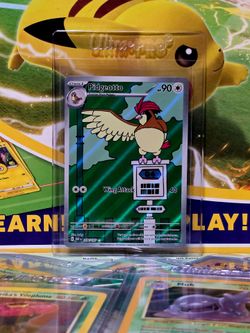 Pigeotto Illustration Rare