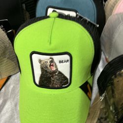 BEAR HAT 