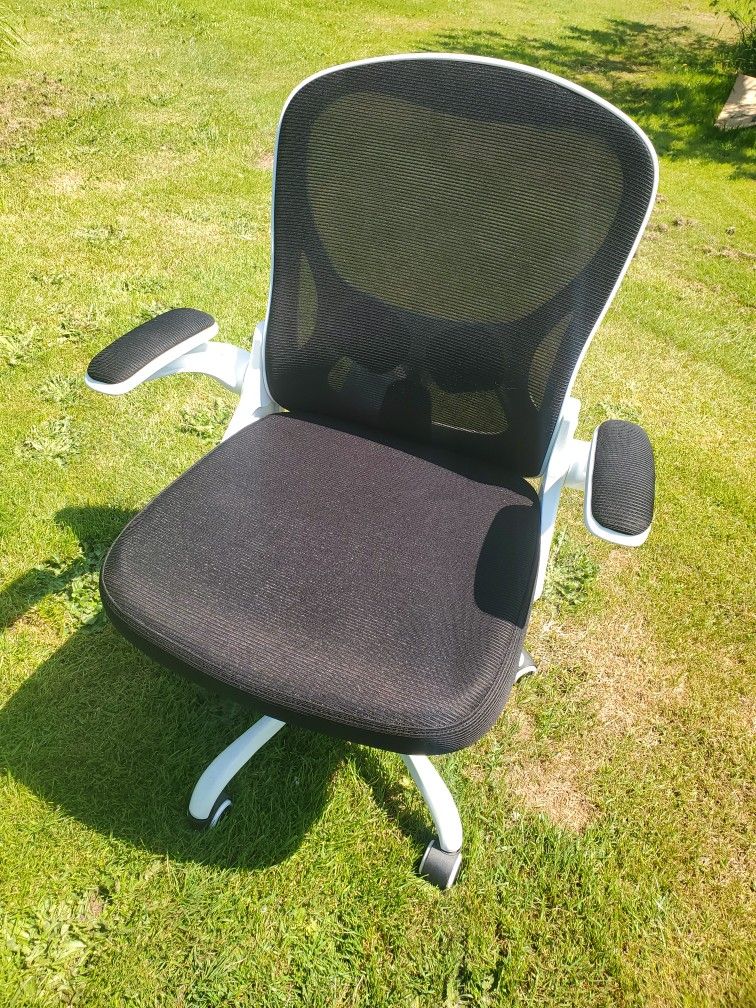 WinRise Office Chair