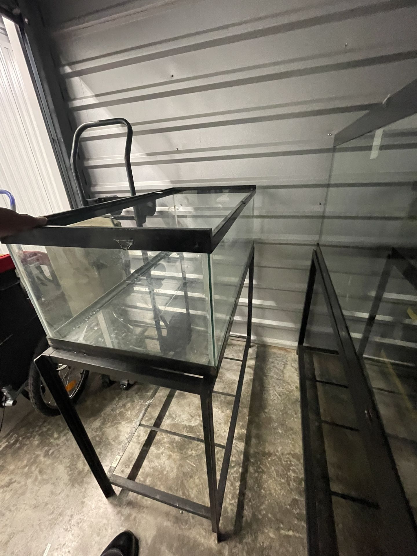 50 Gallon Aquarium