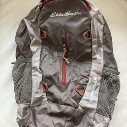 Eddie Bauer Rippac Traveler 20 Liter Packable backpack NEW