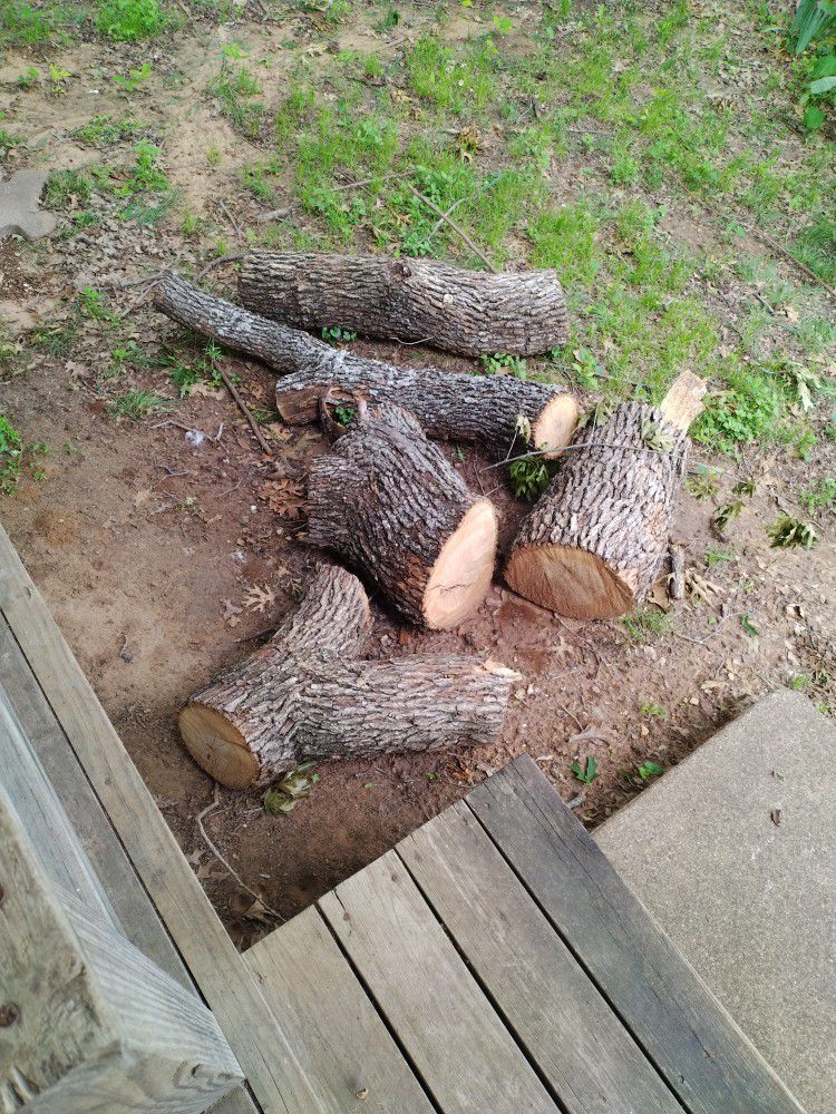 oak Firewood 