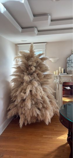 PAMPAS GRASS