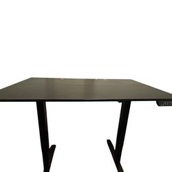 Electric Standing Desk 