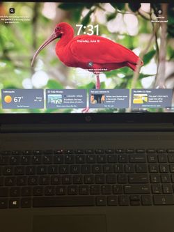 hp 250 g7