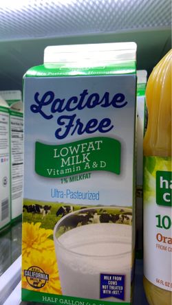 Lactose milk for sale