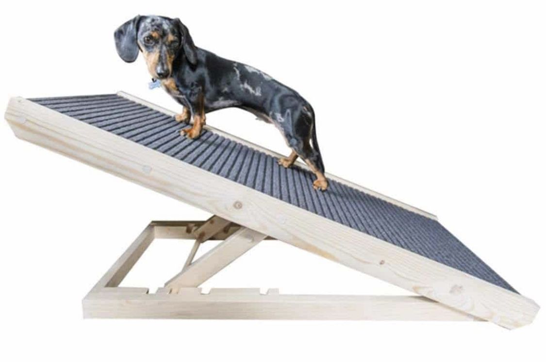 Dog ramp