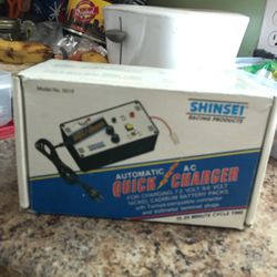 Shinsei r/c battery charger