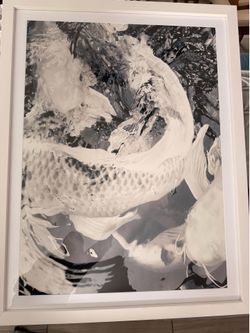 Large Framed Koi Fish Wall Art – 33” x 42” – Modern Black & White