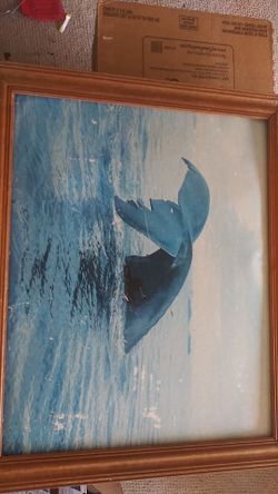 Whale picture very old