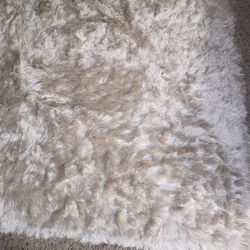 Creamy Ivory Rug