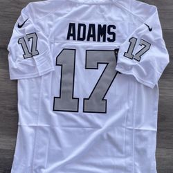 Davante Adams (on field )Raiders jersey