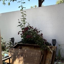Wood Table  